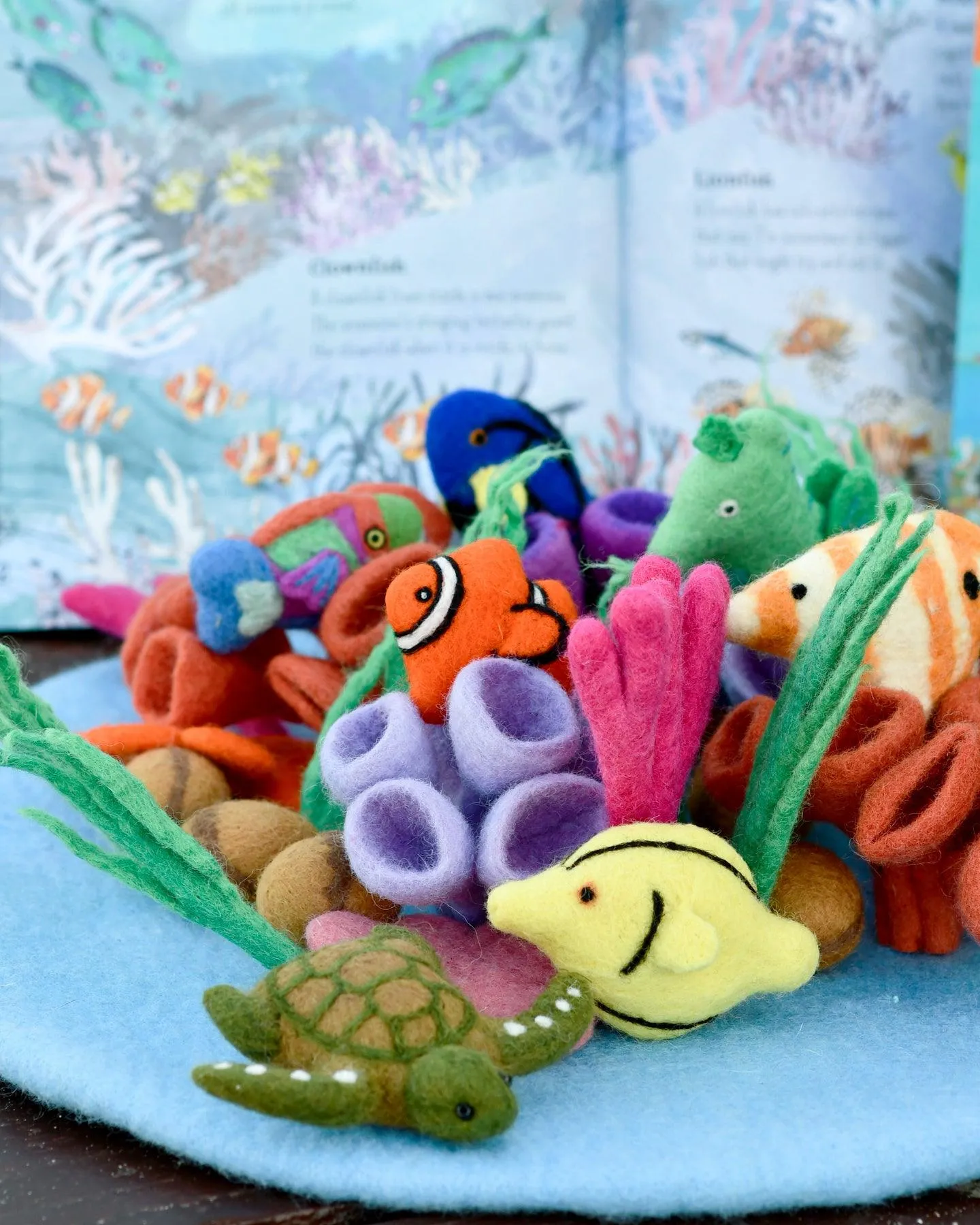 Coral Reef Play Mat Playscape