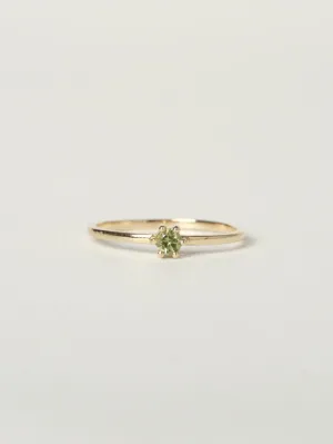 Mini Rita Ring | 14k Gold