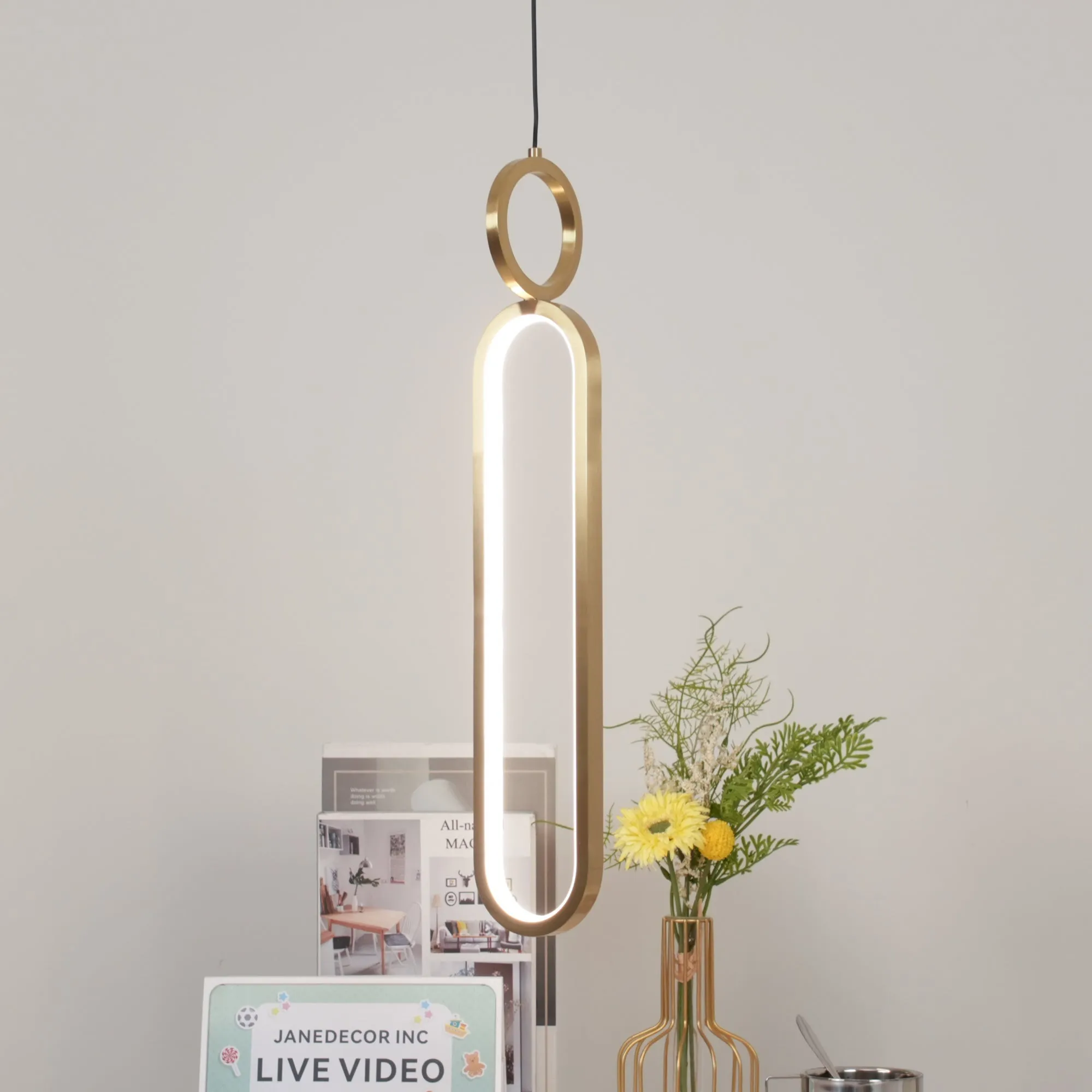 Oval Rings Pendant Light