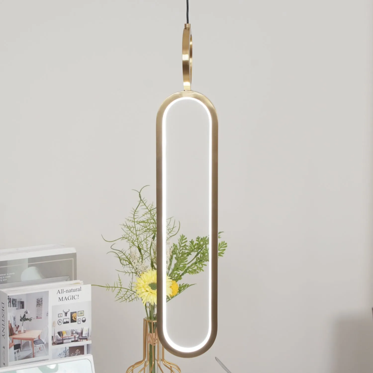 Oval Rings Pendant Light