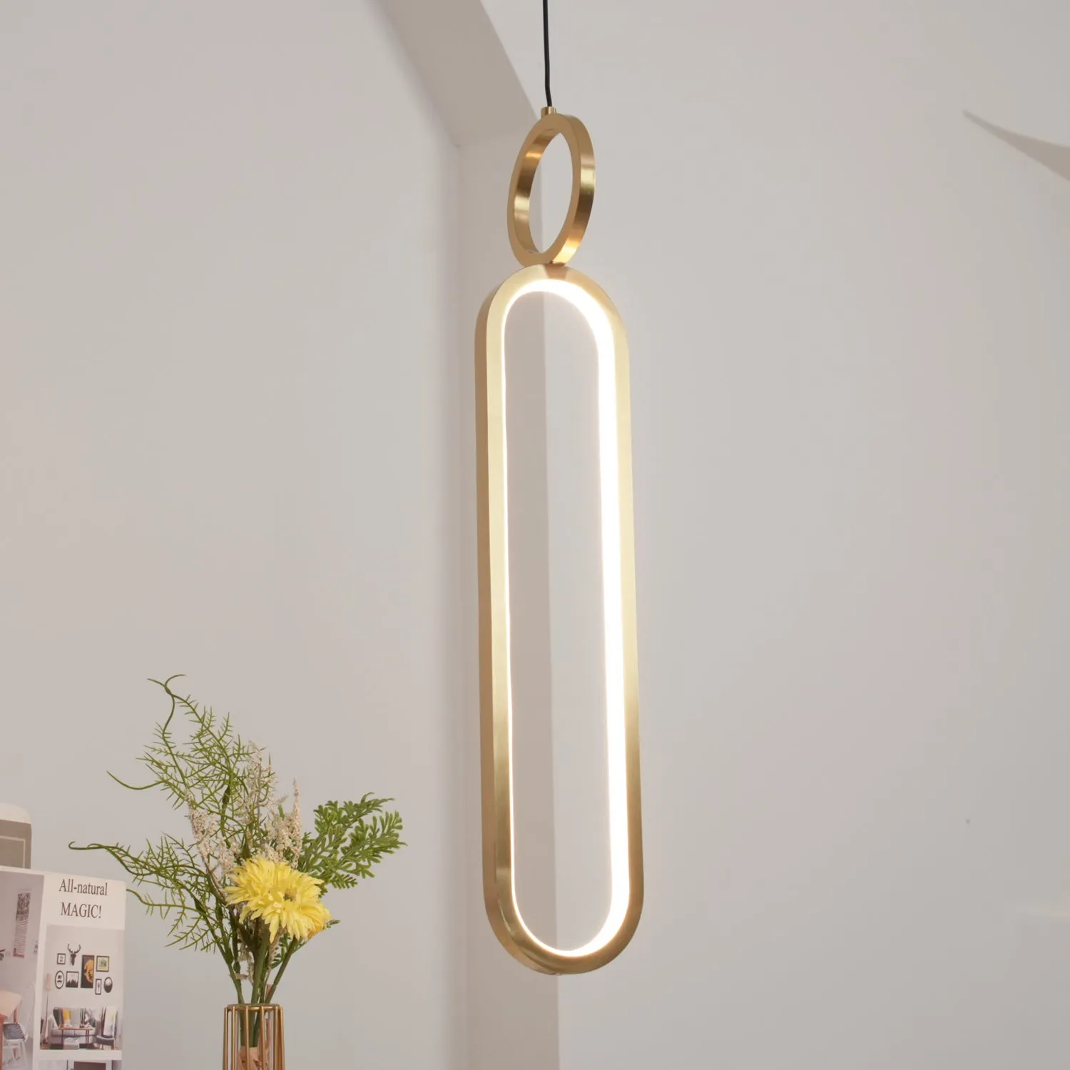 Oval Rings Pendant Light