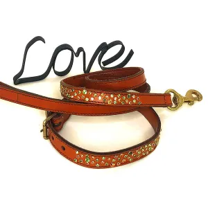 Random Crystal & Brown Leather Collar & Leash, 15"-18"